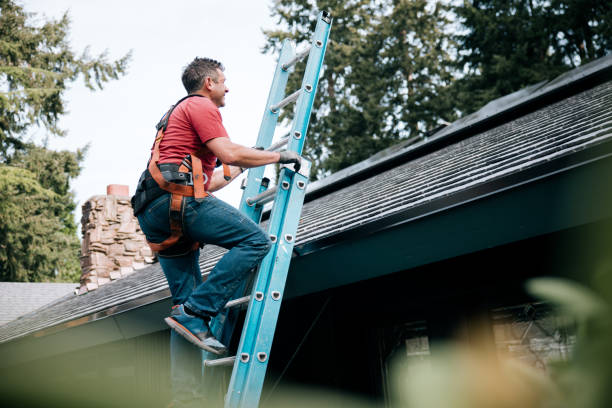 Best Roof Ventilation Installation  in Piedmont, SD