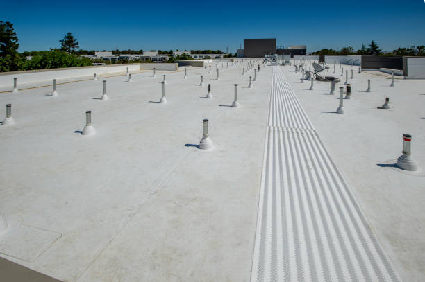 Best Roof Maintenance and Cleaning  in Piedmont, SD